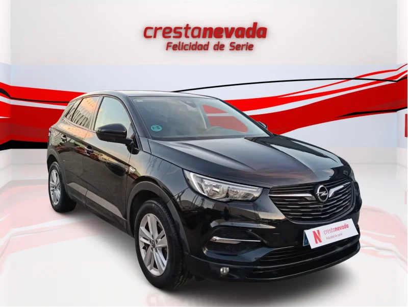 Imagen de Opel Grandland X