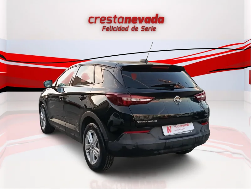 Imagen de Opel Grandland X