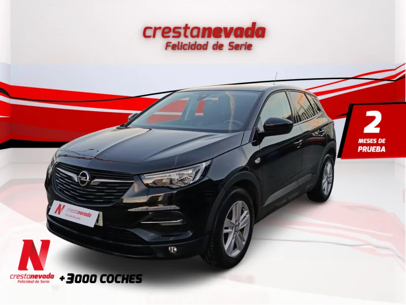 Imagen de Opel Grandland X
