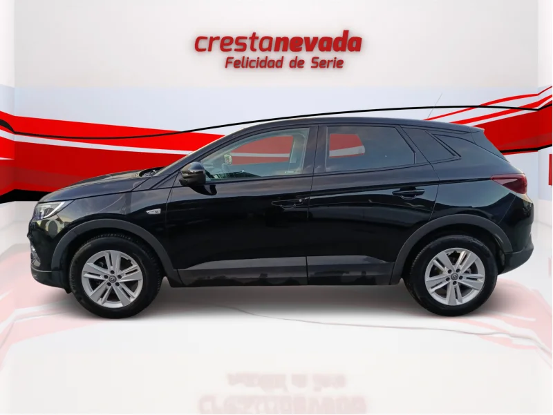 Imagen de Opel Grandland X