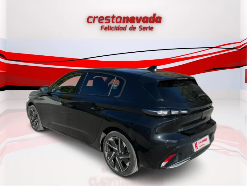 Imagen de Peugeot 308