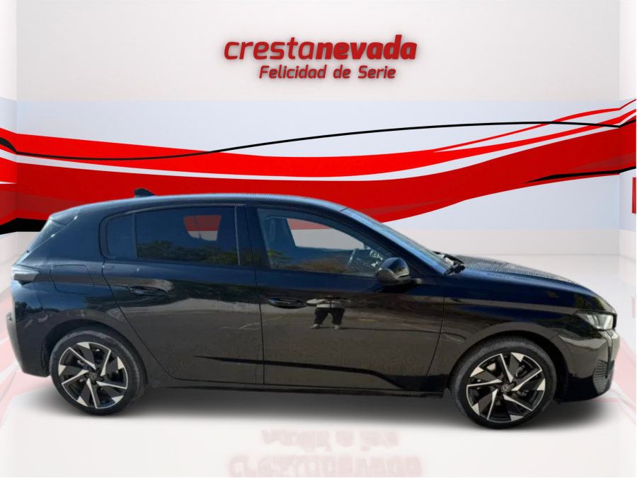 Imagen de Peugeot 308