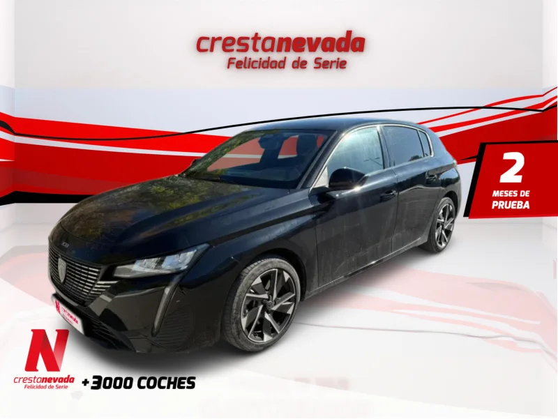 Imagen de Peugeot 308