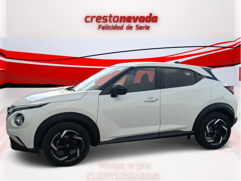 Imagen de NISSAN JUKE