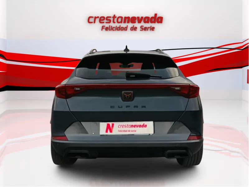 Imagen de cupra Formentor