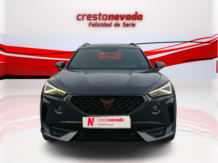 Imagen de cupra Formentor