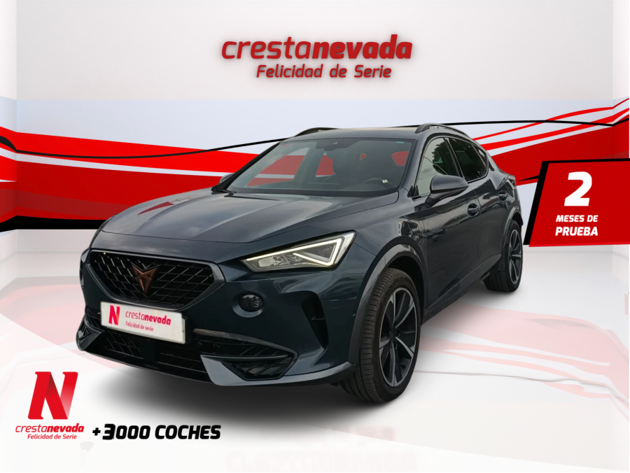 Imagen de cupra Formentor