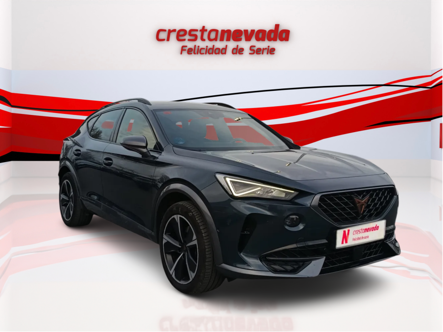 Imagen de cupra Formentor