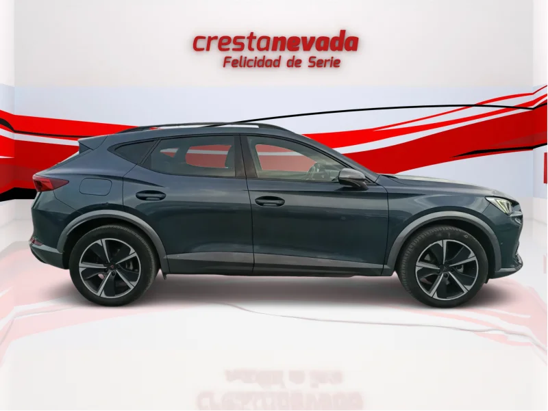 Imagen de cupra Formentor