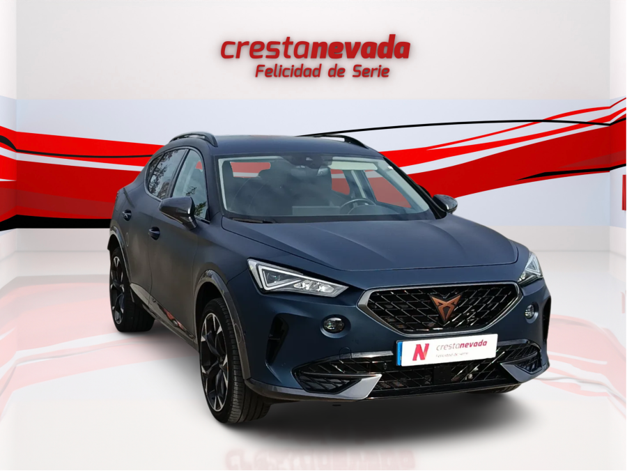 Imagen de cupra Formentor