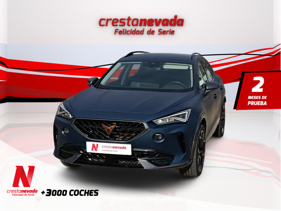 Imagen de cupra Formentor
