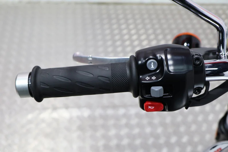 Imagen de Triumph Bonneville T100