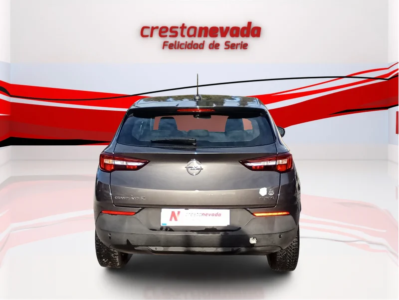 Imagen de Opel Grandland X