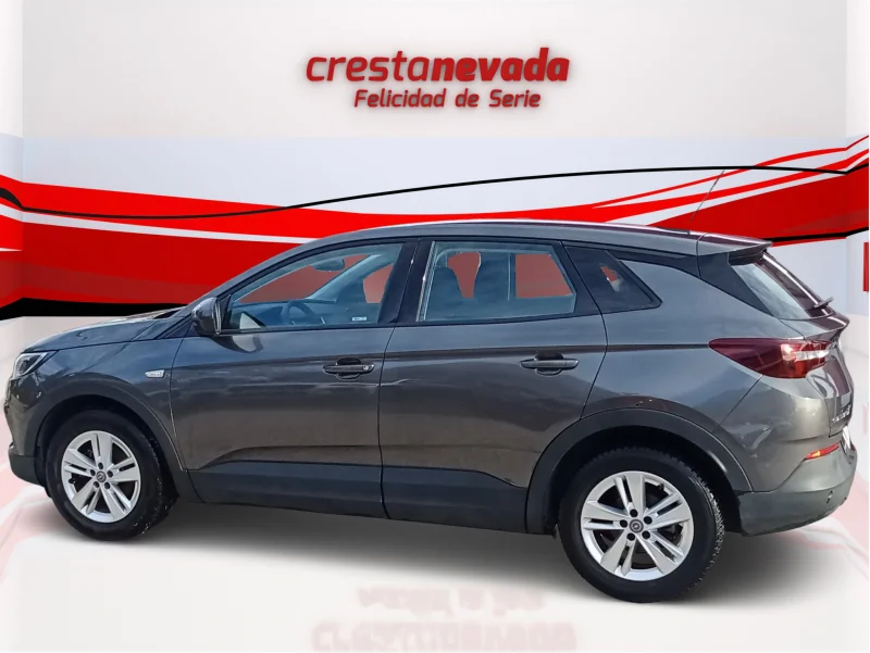 Imagen de Opel Grandland X