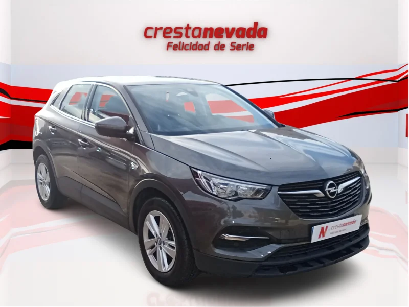 Imagen de Opel Grandland X