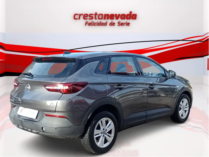 Imagen de Opel Grandland X