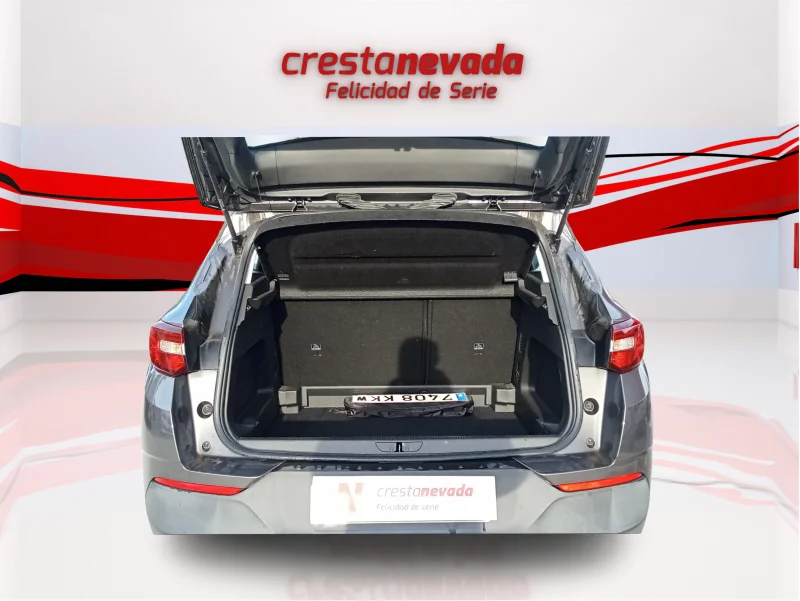 Imagen de Opel Grandland X