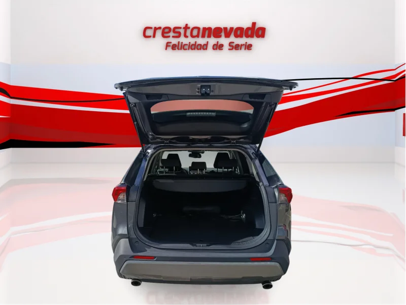 Imagen de TOYOTA Rav4