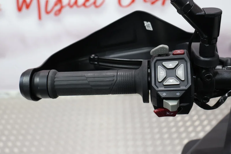 Imagen de VOGE 900 DSX