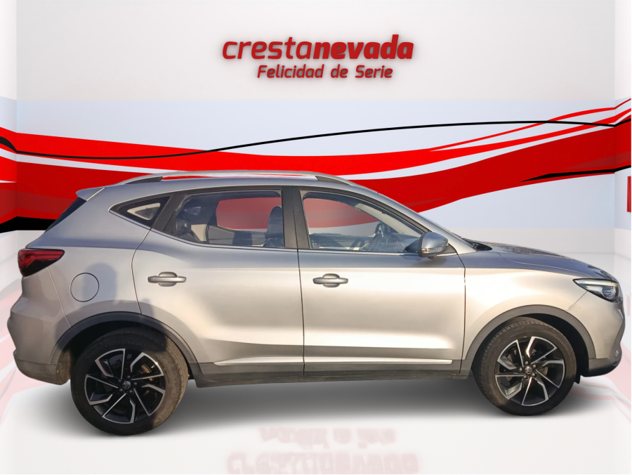Imagen de Mg ZS