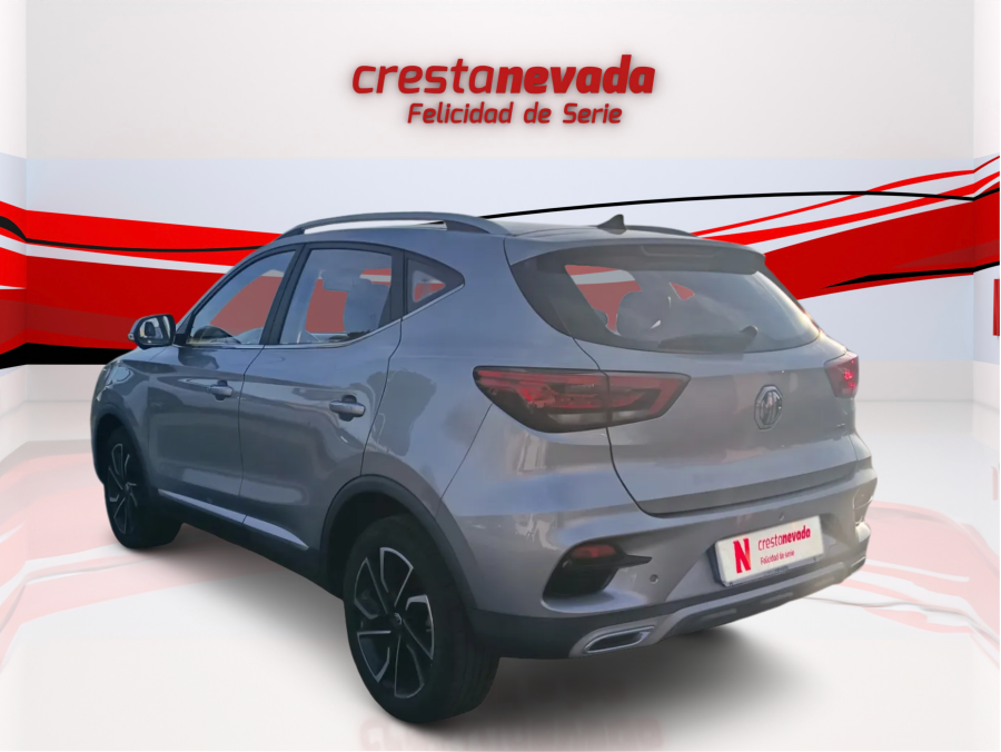 Imagen de Mg ZS