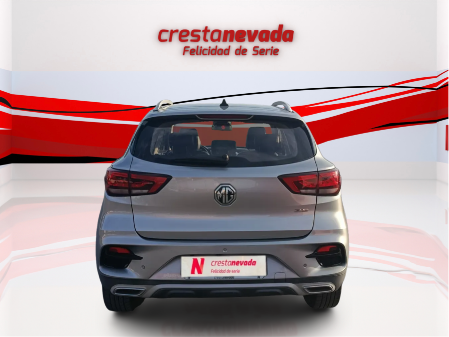 Imagen de Mg ZS
