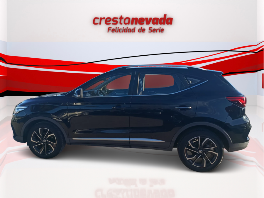 Imagen de Mg ZS