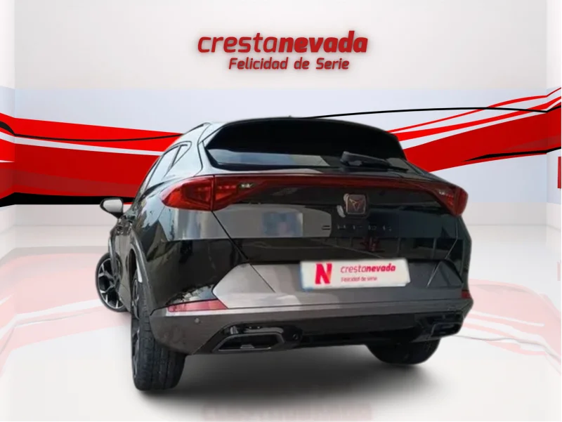 Imagen de cupra Formentor