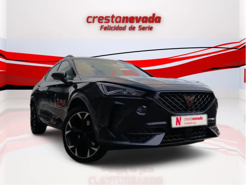 Imagen de cupra Formentor