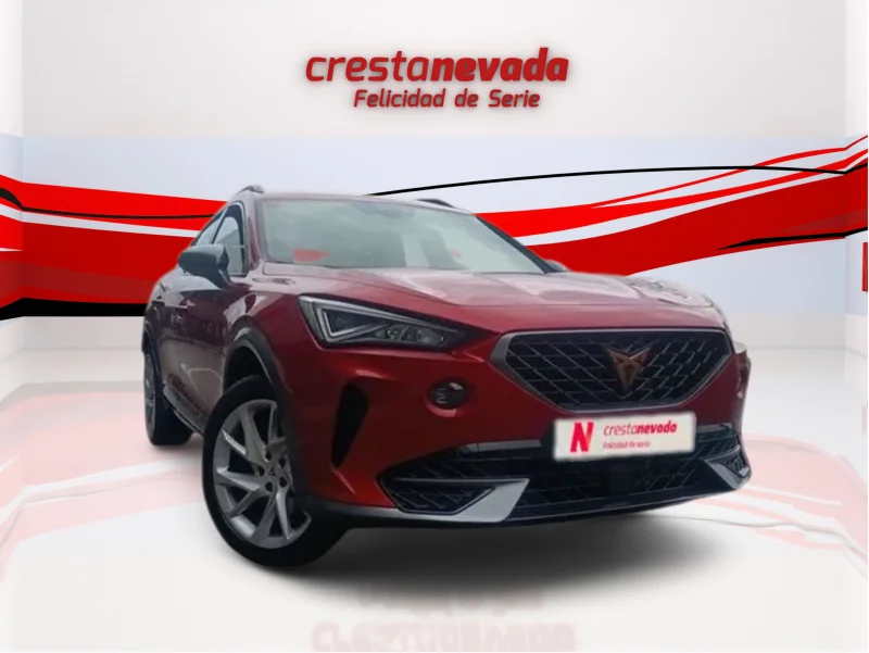 Imagen de cupra Formentor