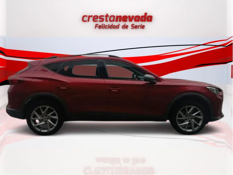 Imagen de cupra Formentor