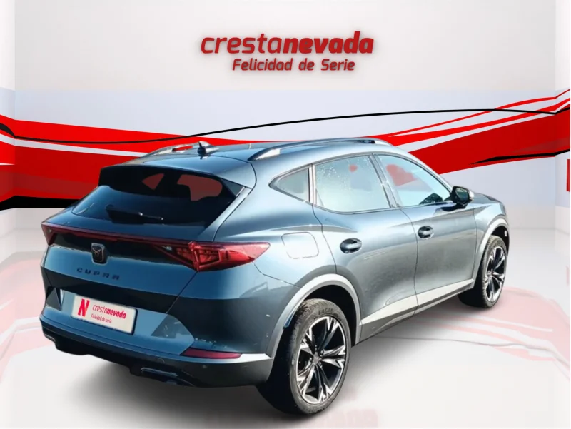 Imagen de cupra Formentor