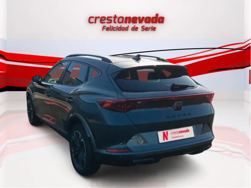 Imagen de cupra Formentor