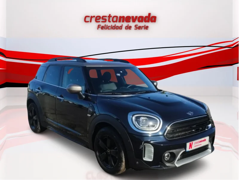 Imagen de Mini Countryman
