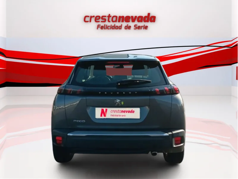 Imagen de Peugeot 2008