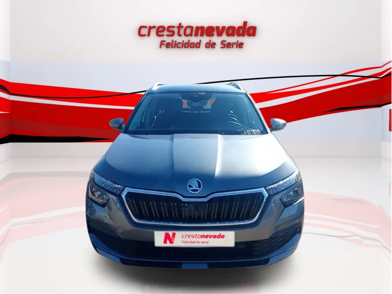 Imagen de Skoda Kamiq