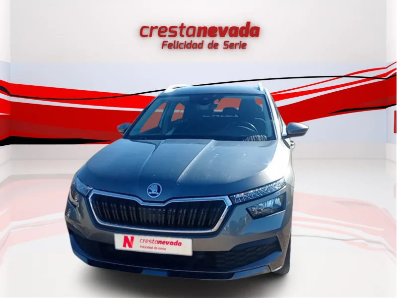 Imagen de Skoda Kamiq