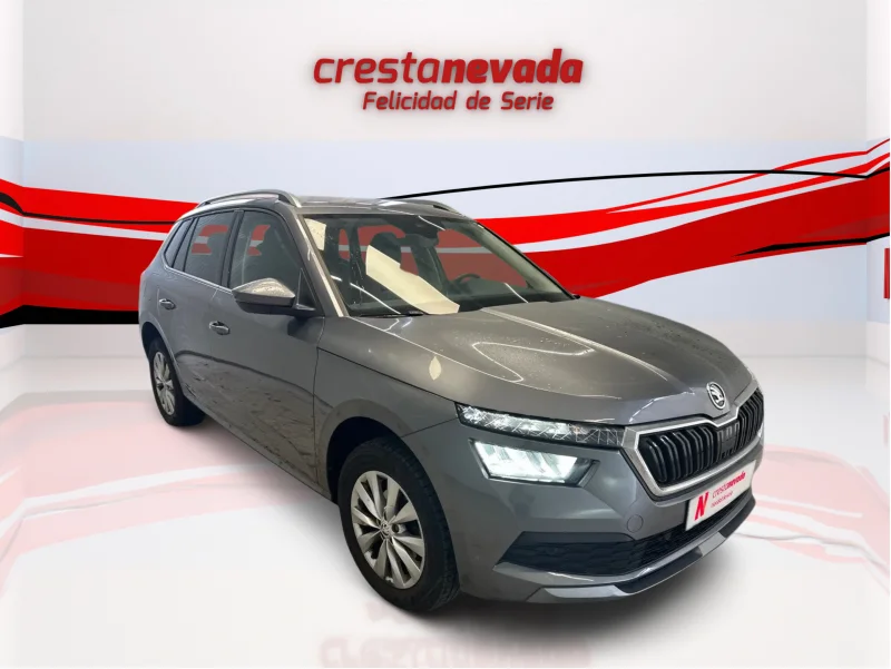 Imagen de Skoda Kamiq