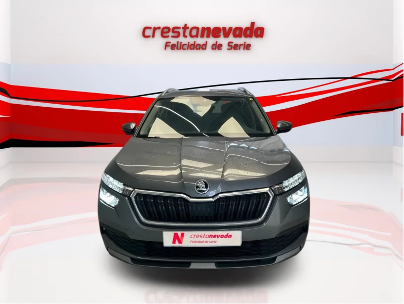 Imagen de Skoda Kamiq