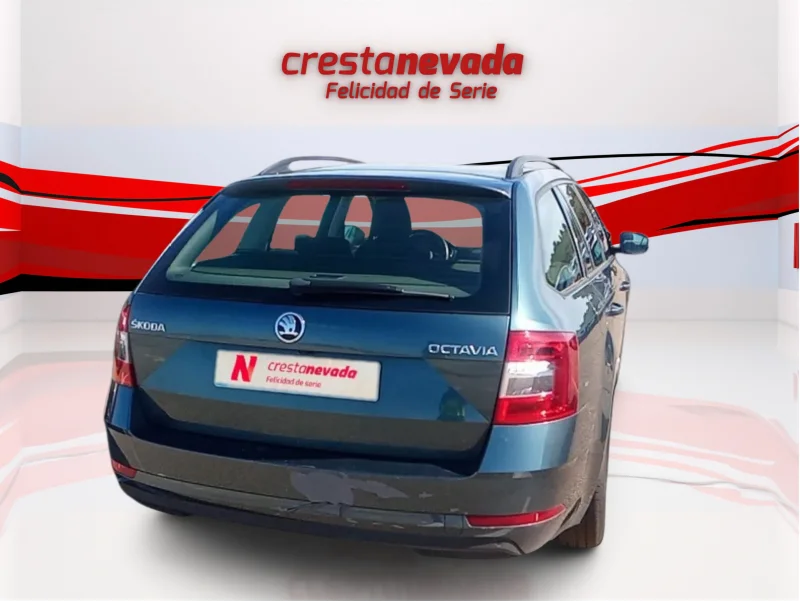 Imagen de Skoda Octavia