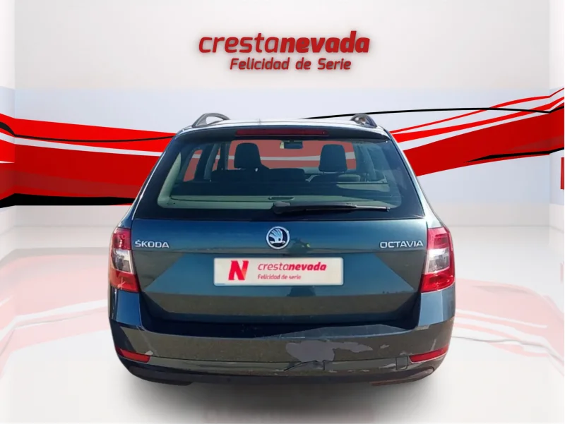 Imagen de Skoda Octavia