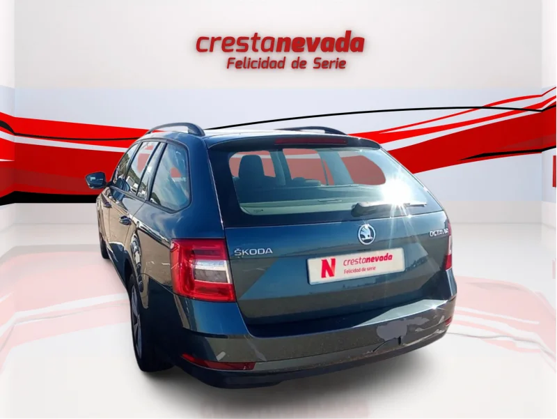 Imagen de Skoda Octavia
