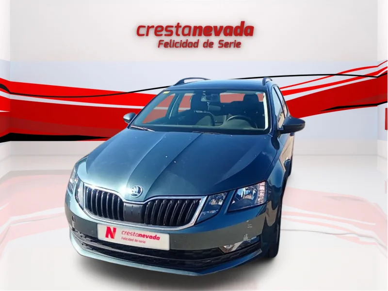 Imagen de Skoda Octavia