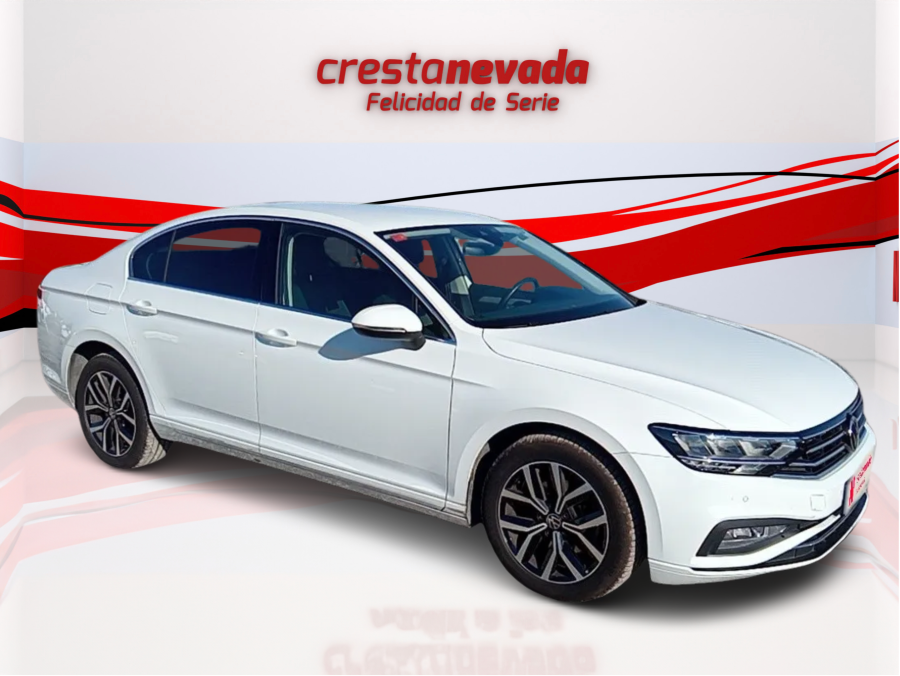 Imagen 3 de Volkswagen Passat Diesel 150 CV