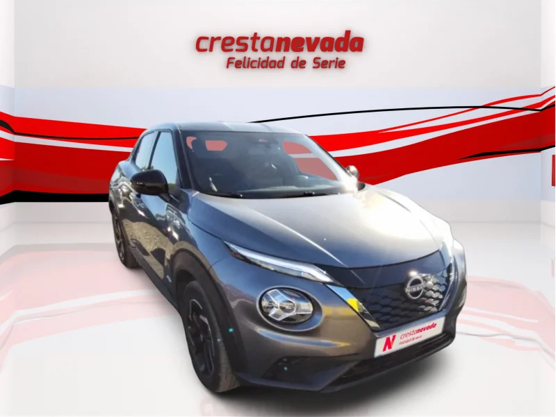 Imagen de NISSAN JUKE