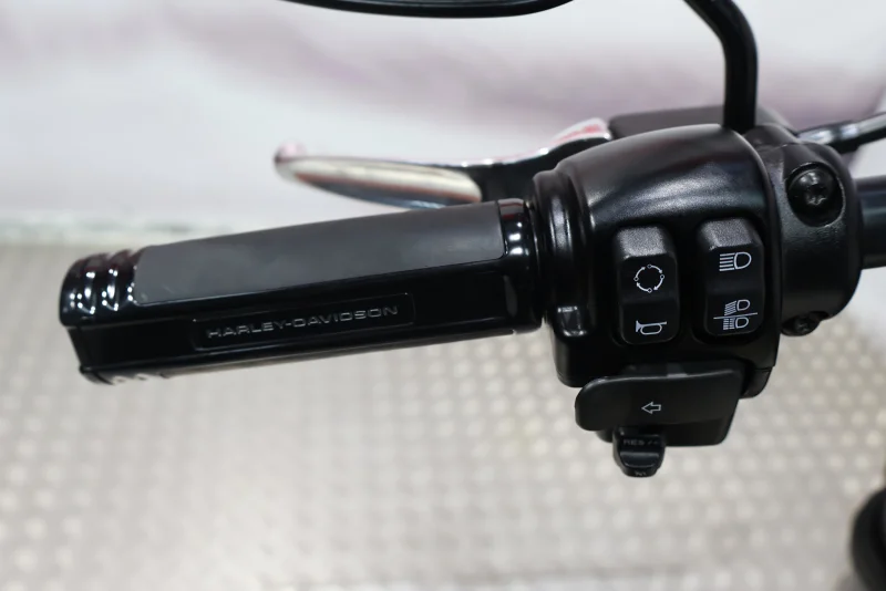 Imagen de Harley-Davidson Low Rider S