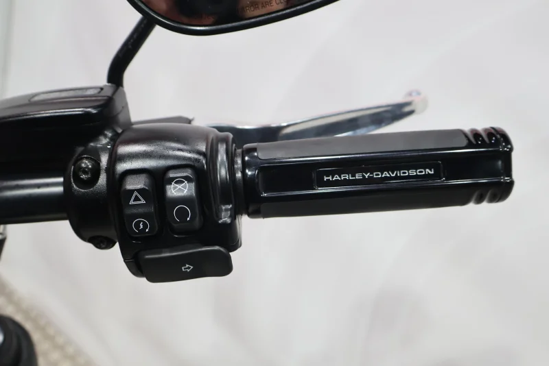 Imagen de Harley-Davidson Low Rider S