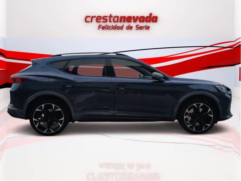 Imagen de cupra Formentor