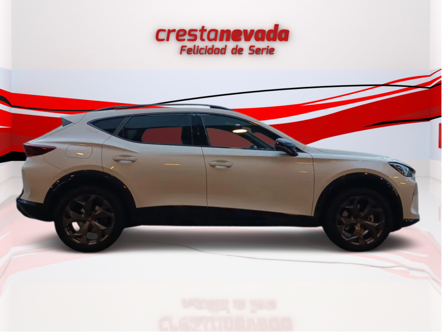 Imagen 2 de cupra Formentor Híbrido 150 CV