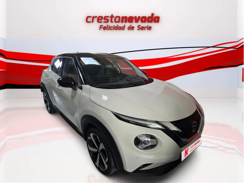 Imagen de NISSAN JUKE